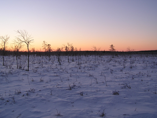 lappland_022