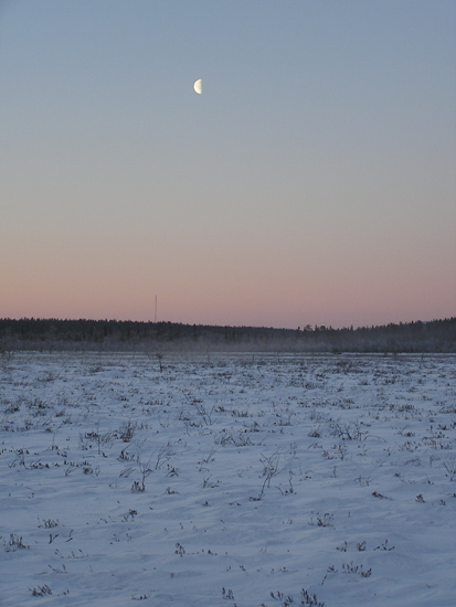 lappland_023