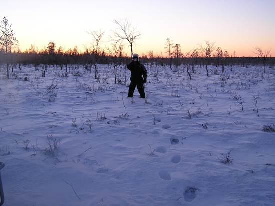 lappland_026