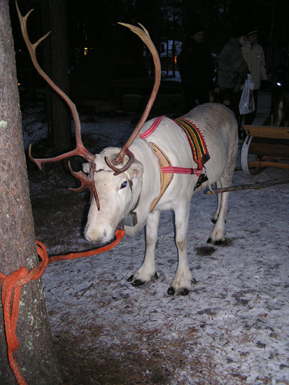 lappland_081