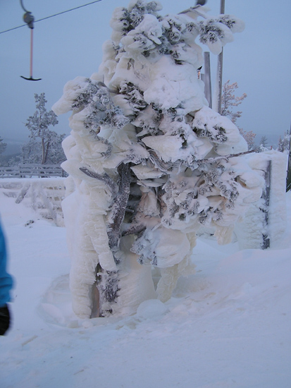 lappland_095