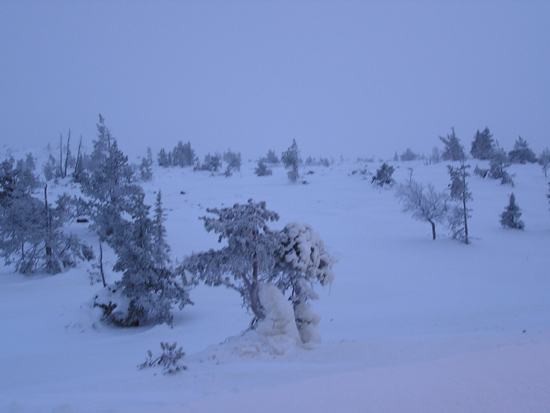 lappland_096