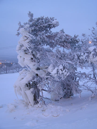 lappland_098