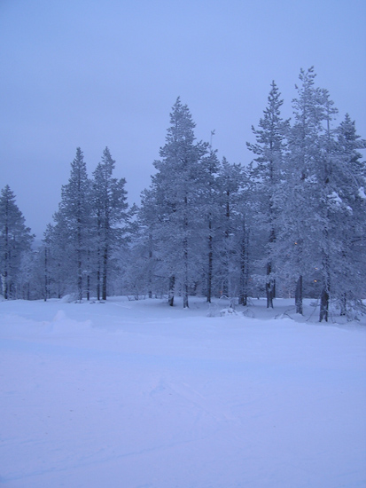 lappland_100