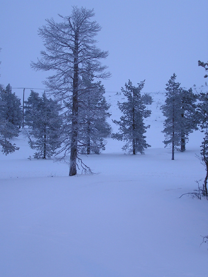 lappland_101
