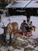 lappland_005