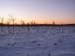 lappland_022