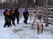 lappland_033