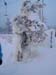 lappland_095