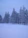 lappland_100