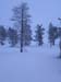 lappland_101