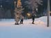 lappland_104